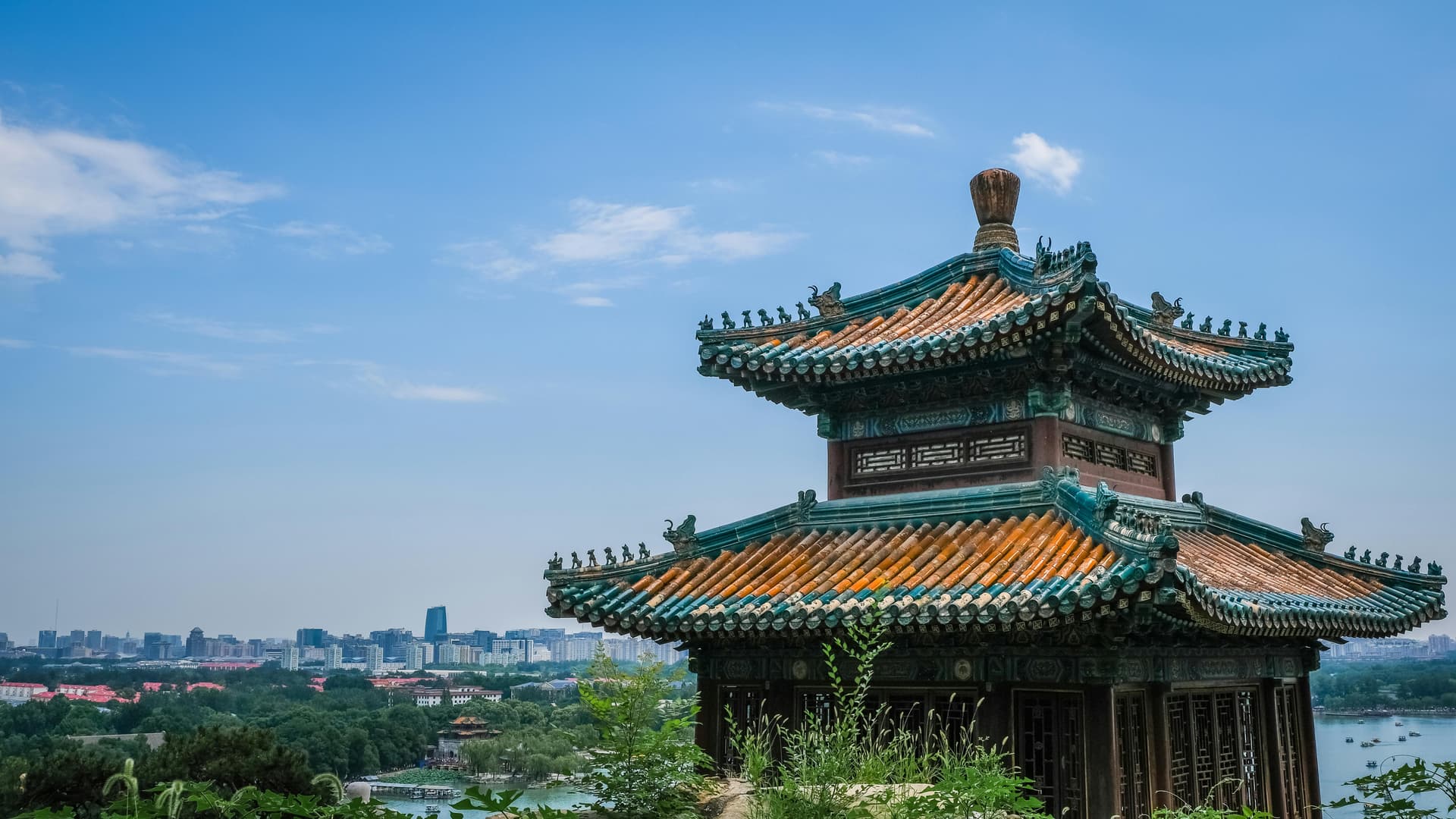 Tecspal Expands to China: